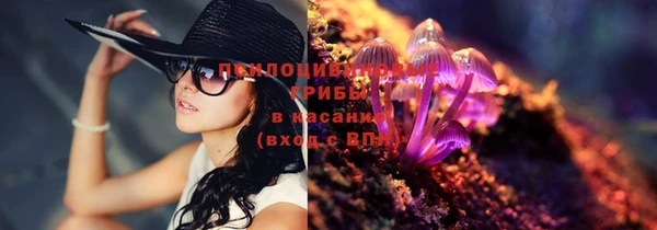 мяу мяу кристалл Арсеньев