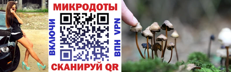 как найти   Усть-Лабинск  ОМГ ОМГ ТОР  Псилоцибиновые грибы прущие грибы 