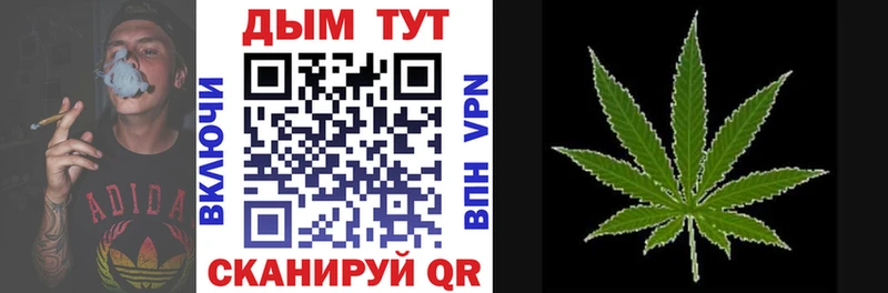 Конопля OG Kush  omg ССЫЛКА  Усть-Лабинск 